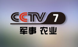 CCTV-7